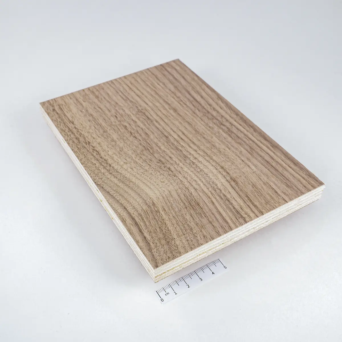 nussbaum_01a